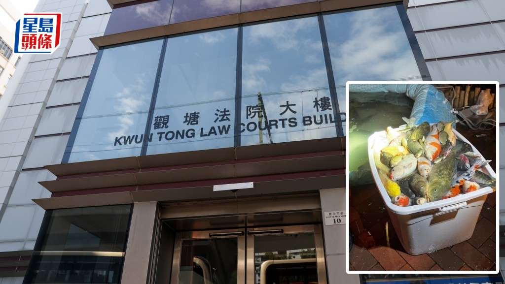 景林邨死魚事件，女物管主任及清潔管工被控虐畜罪提堂。資料圖片