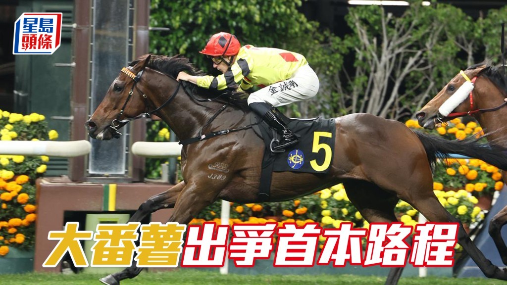 泥地千二米是「大番薯」首本路程，不過今仗負135磅上陣可算是個重大挑戰。
