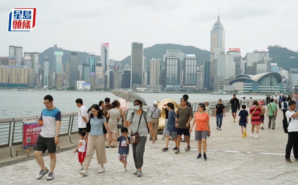 楊淑芬認為維港是香港獨有，應該好好發展吸引旅客。資料圖片