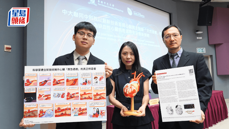 中大与中科院研究揭心脏侧支动脉「天然搭桥」机制原理 心肌缺血时天然形成供血
