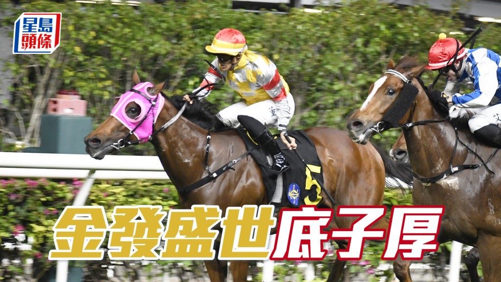 「金发盛世」底子厚