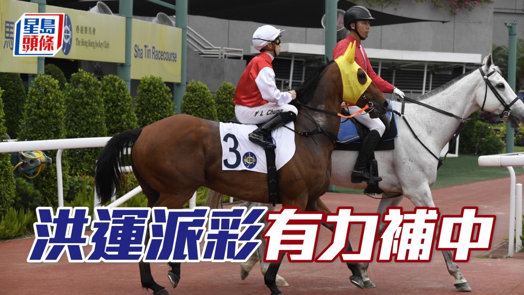 「洪运派彩」排二档起步，有望领放或守好位，只要今次内栏没不利地，有力补中。