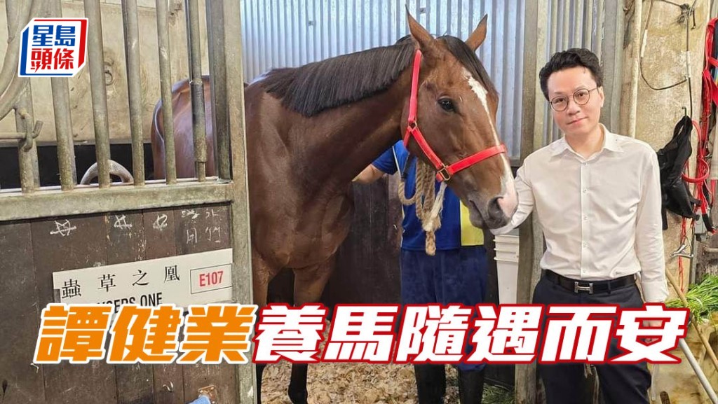 譚健業大律師沒想到這匹六歲馬「蟲草之凰」大器晚成，今季三捷令人喜出望外。