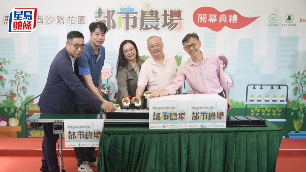 馬鞍山西沙路花園首個都市農場試驗項目今日開幕。