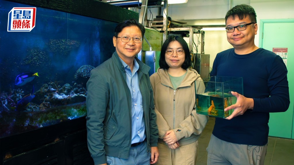 浸大生物系教授邱建文（左）的團隊發現兩個軟珊瑚新物種，他認為研究擴闊了對粵港澳大灣區軟珊瑚多樣性的認識。浸大提供