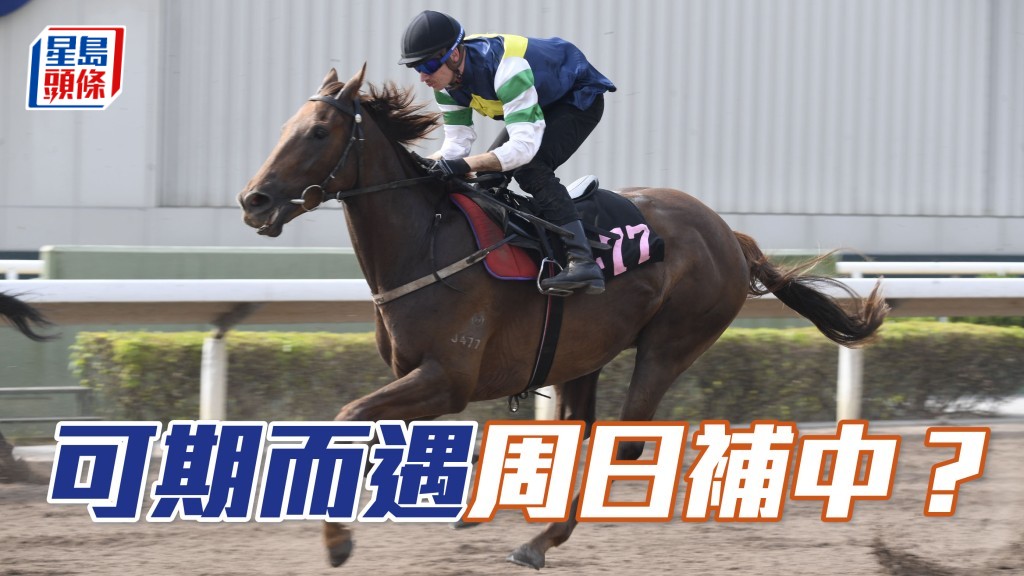 「可期而遇」在港兩戰均入前四名,且看旺人周俊樂能否為馬兒打開勝利之門!