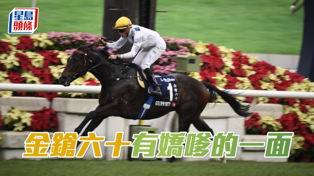 原來三屆馬王「金鎗六十」，也有嬌嗲的一面。