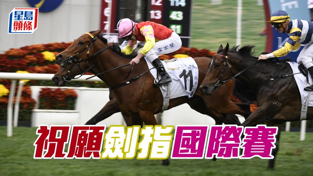 「祝願」上季四捷，包括勝出香港經典一哩賽，並先後在四歲系列賽的經典盃及打吡大賽跑獲亞軍。