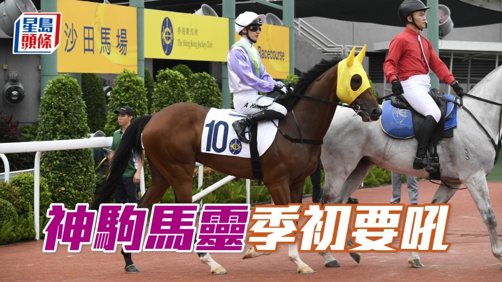 「神駒馬靈」下季踏入四歲只要進度配合,隨時季初已能交出成績。