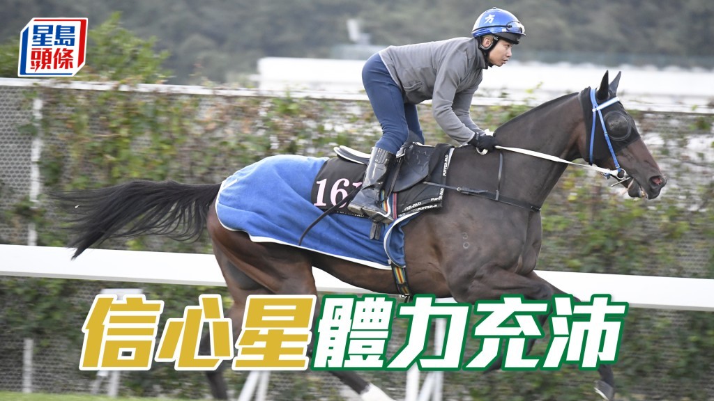 「信心星」身靓力度充足，长期呈勇。