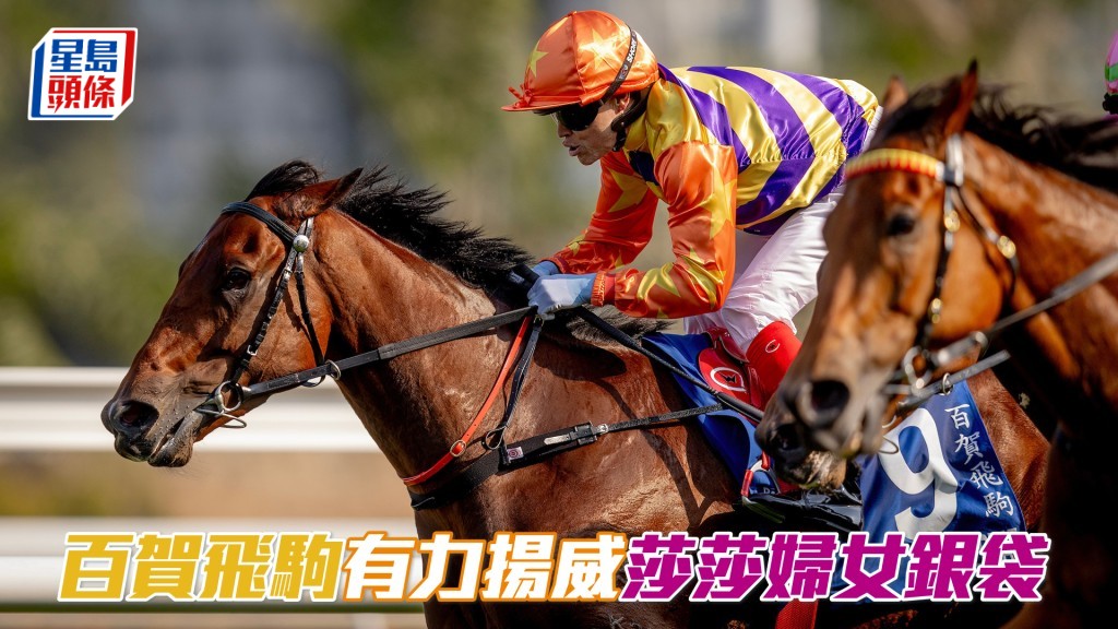「百賀飛駒」在2025年寶馬香港打吡大賽（2000米）取得迄今唯一頭馬。