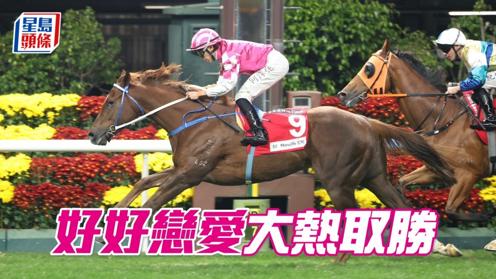 「好好戀愛」大熱取勝