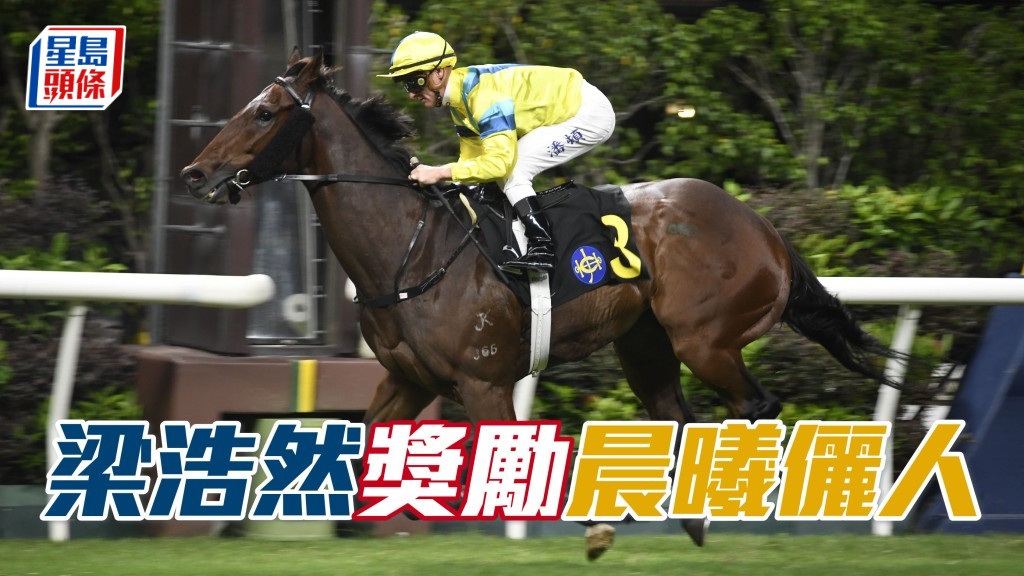 梁浩然回港後，日前往伍鵬志馬房探望「晨曦儷人」，並餵愛駒吃紅蘿蔔。