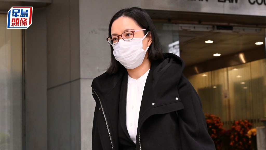 專家證人、地政總署土地測量師陳憲怡指，指航空相片可見涉事地段有兩層疑似平台。劉駿軒攝