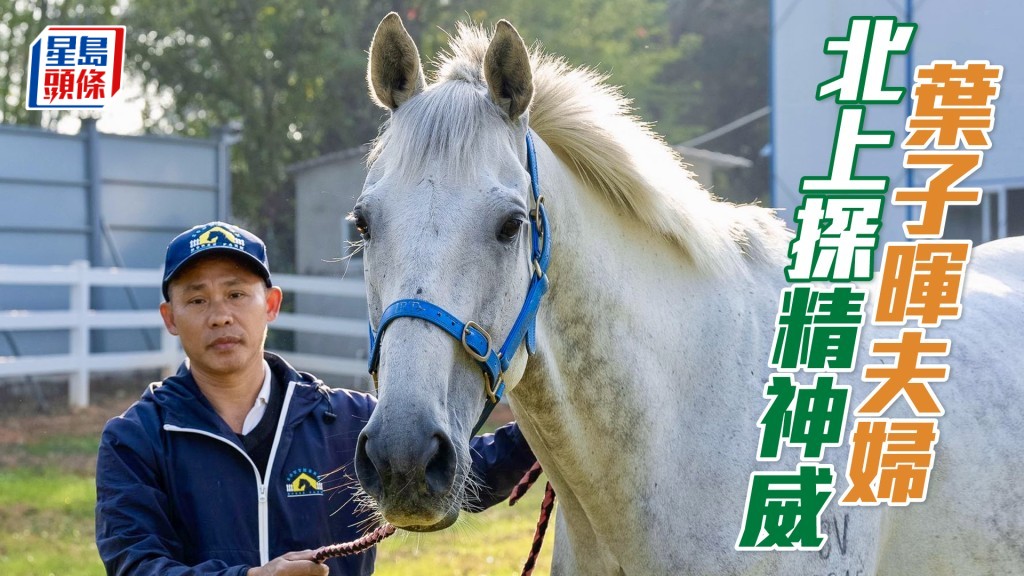 葉子暉夫婦北上探「精神威」。