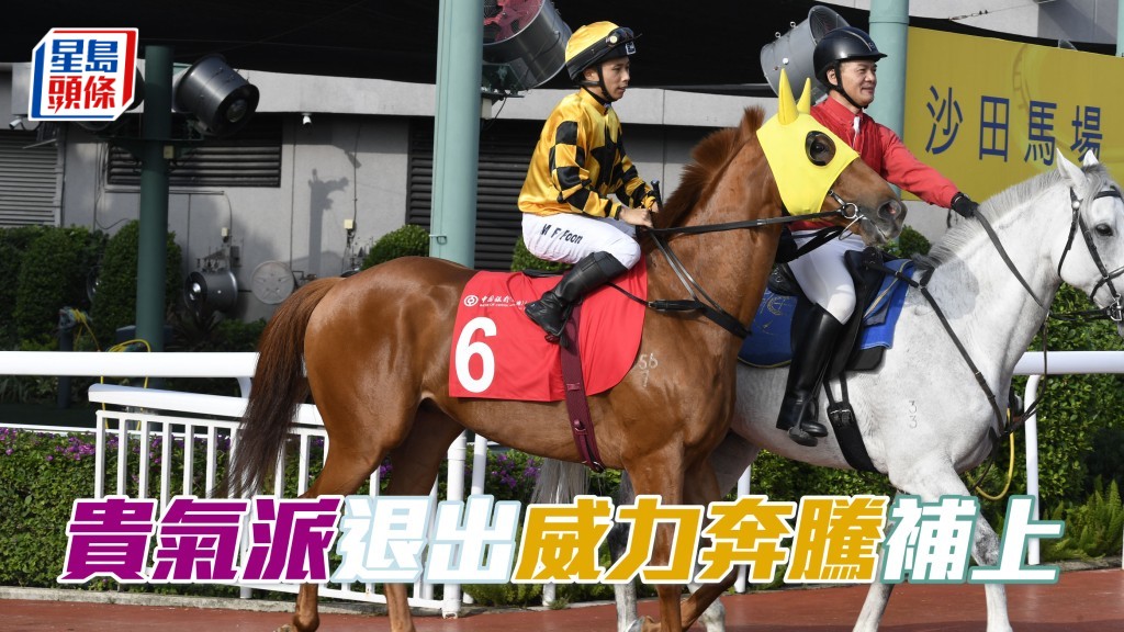 「貴氣派」已退出浪琴香港短途錦標，由後備馬匹「威力奔騰」(圖) 補上，並將由騎師潘明輝策騎。