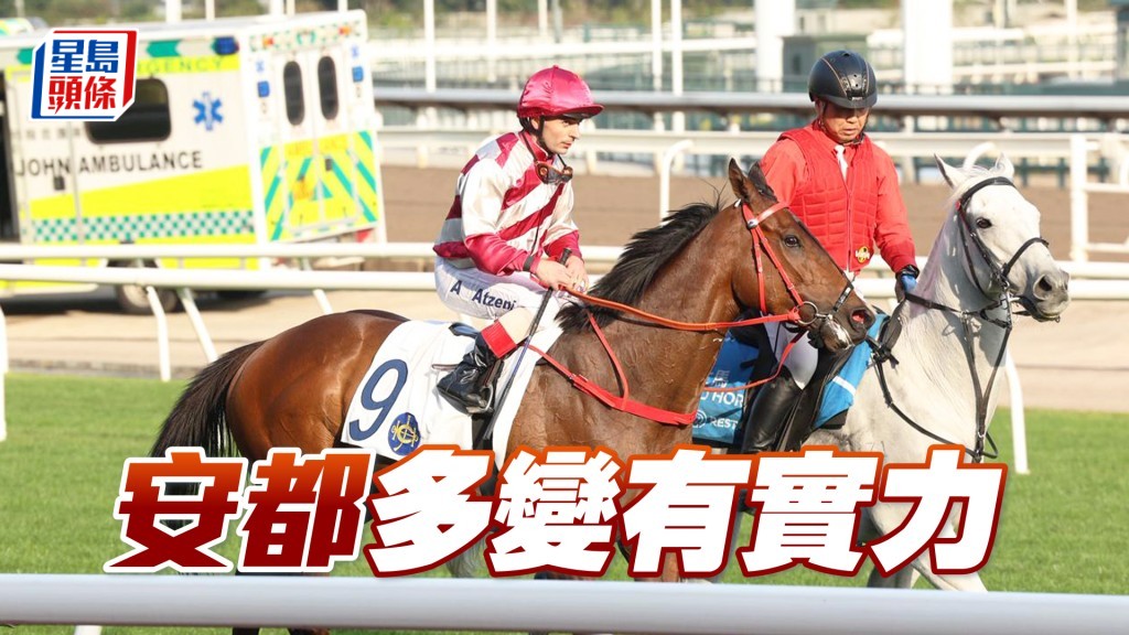 「安都」多變有實力