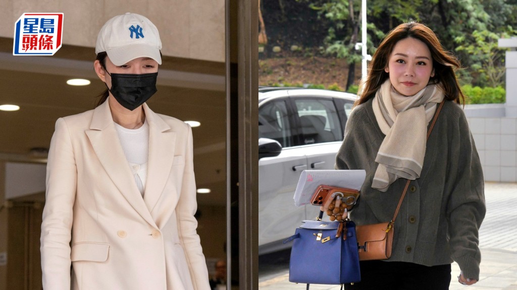 潘碧玉（左)在庭上直指張韋怡（右)「好識扮傻、扮窮，好鍾意扮囉」。資料圖片
