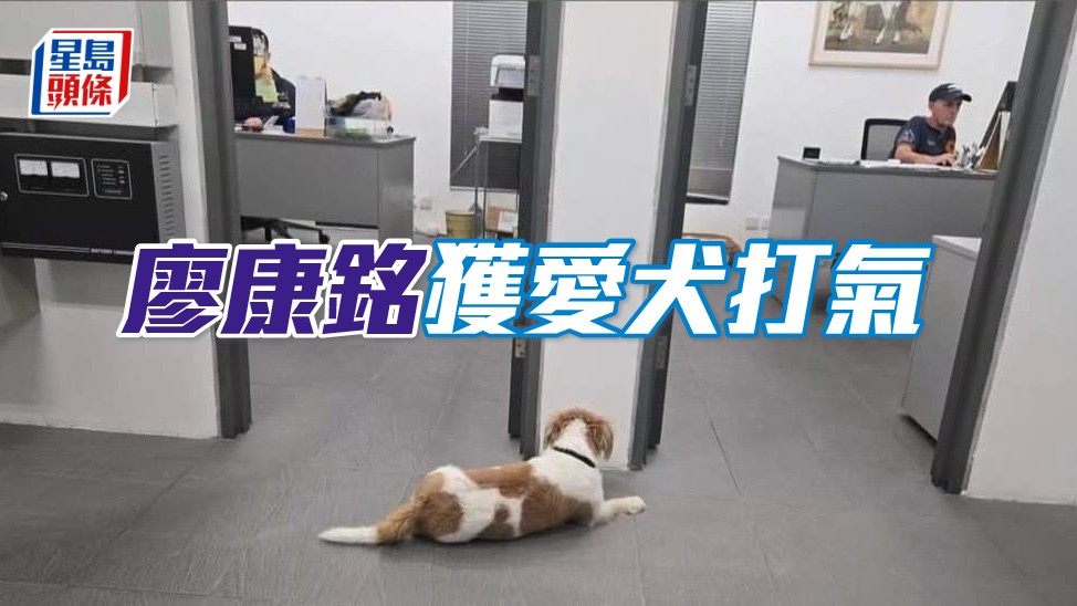 廖康銘獲愛犬打氣