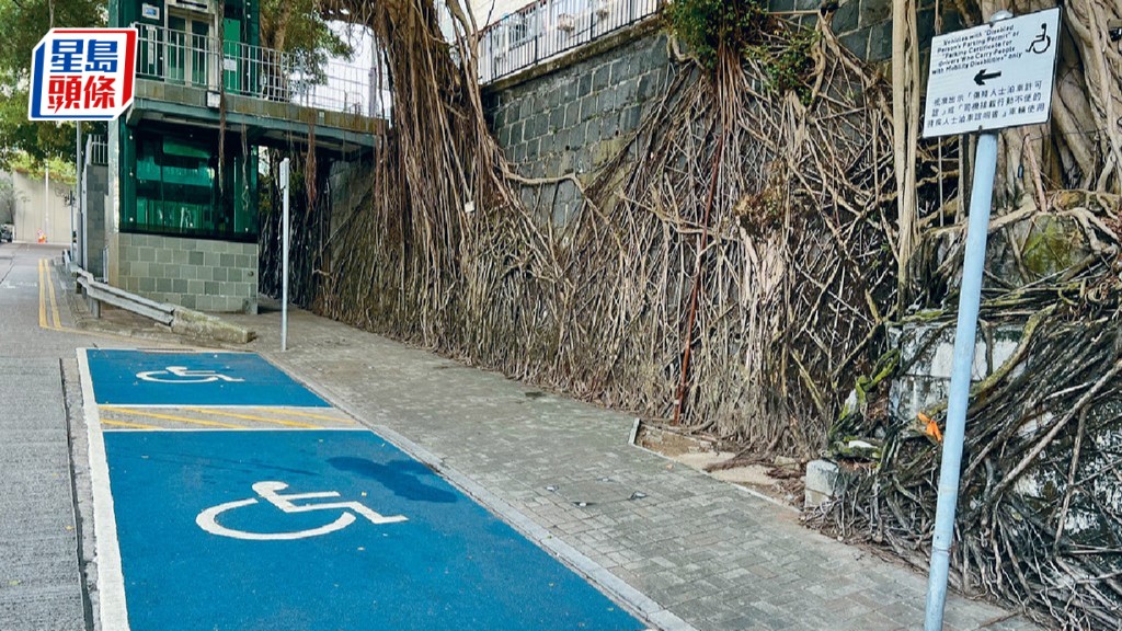 殘疾人士專用泊車位｜運輸署試行用攝影機24小時監察  AI辨認上落車乘客是否用輪椅或步行輔助器。資料圖片