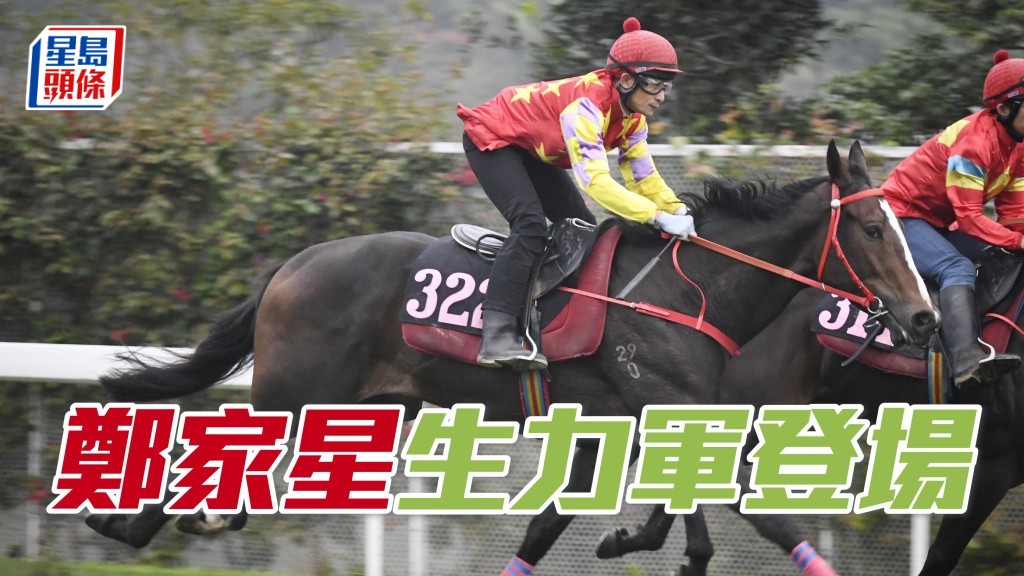 鄭家星的新馬「閃亮老撾」，將會在周日沙田賽事初次登場。