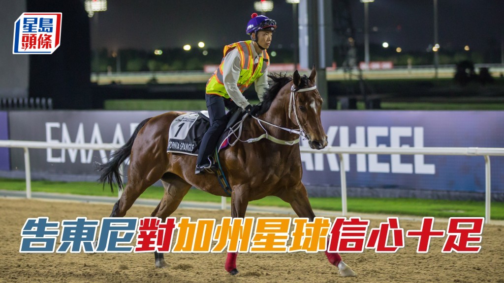告東尼期待「加州星球」再展威力，攻下阿喬斯短途錦標。