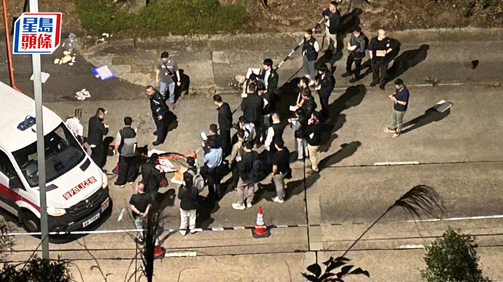 被告涉持刀及金属杆在青山公路徘徊，更企图袭击前来支援的警员，被警方开枪制服。资料图片