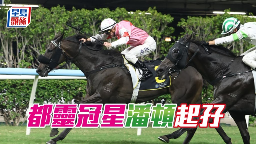 「都靈冠星」潘頓起孖
