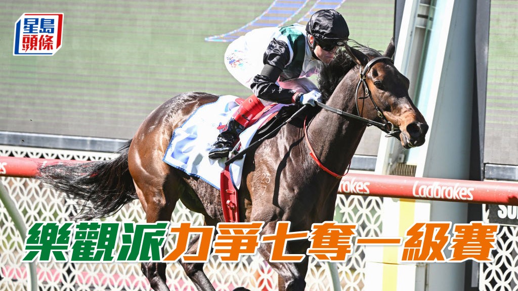 「樂觀派」(圖) 將與「珍蓮驕驥」在澳洲盃再決雌雄。
