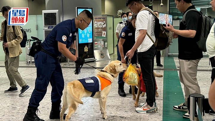 檢疫偵測犬在邊境管制站協助執法人員打擊非法行為。