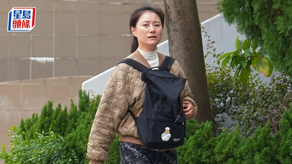 蔡鈺認罪今日判囚3月緩刑年半。資料圖片