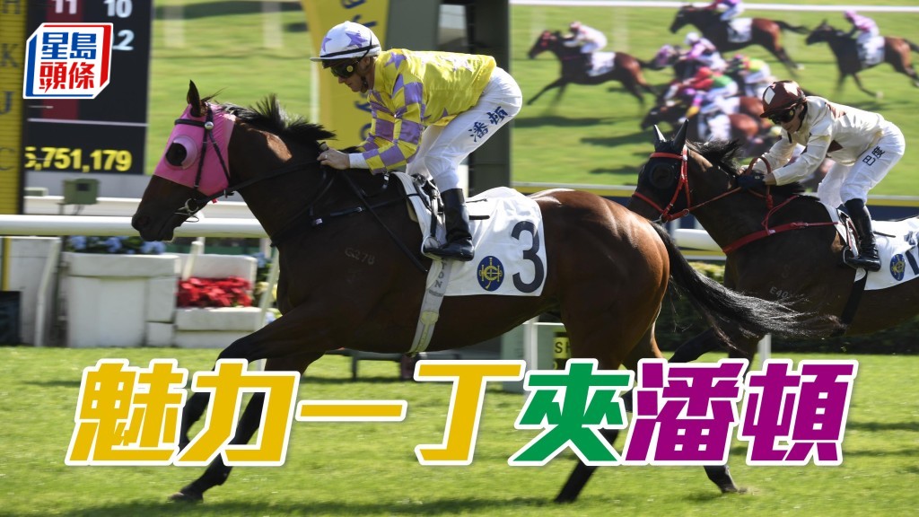 「魅力一丁」曾于潘顿胯下报捷，人马合拍。