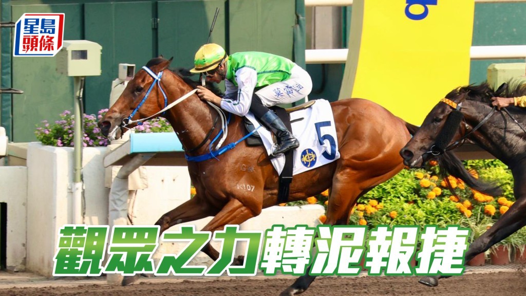 「观众之力」转泥报捷