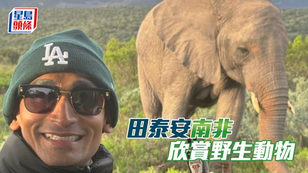 田泰安与大象合照。（相片来源：田泰安IG）