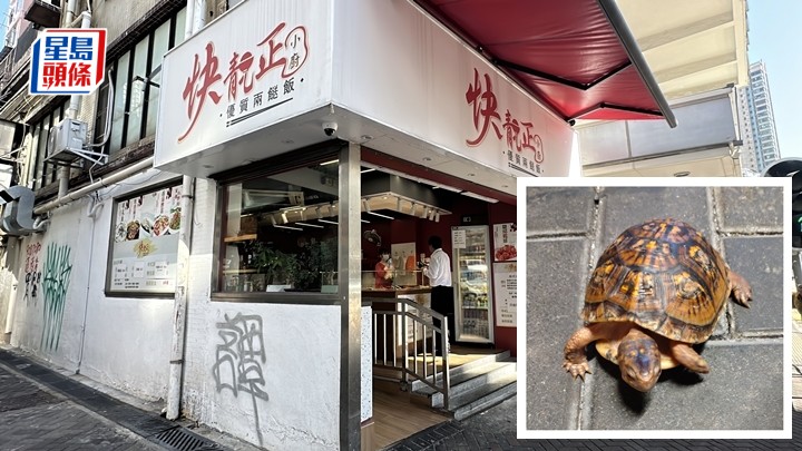 被偷走的東部箱龜，已由警方起回，物歸原主。劉漢權攝