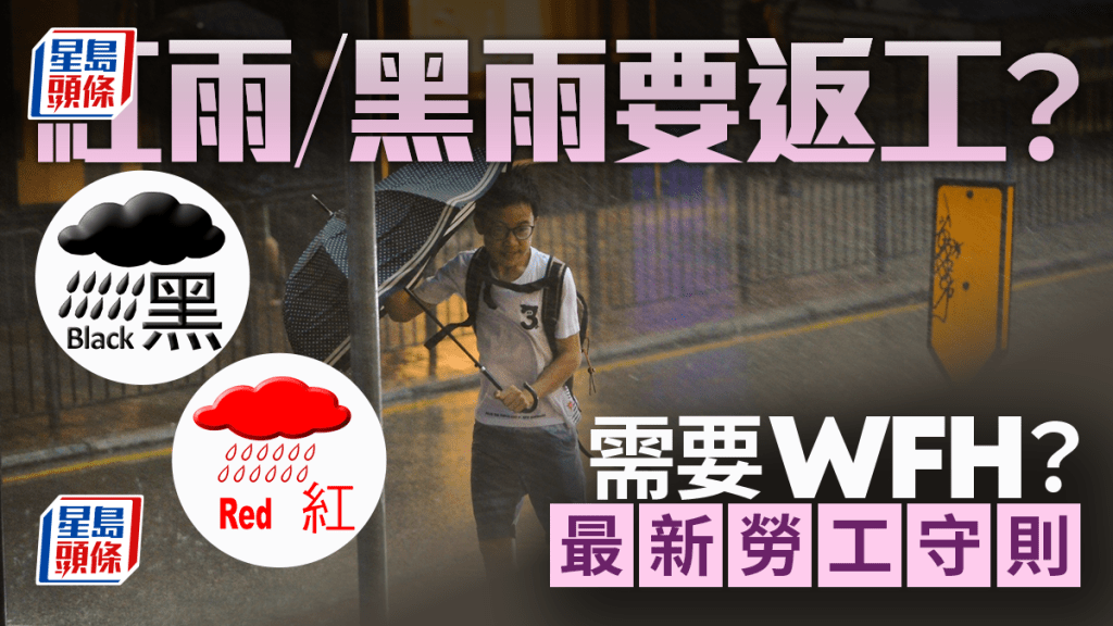 紅黑雨返工安排