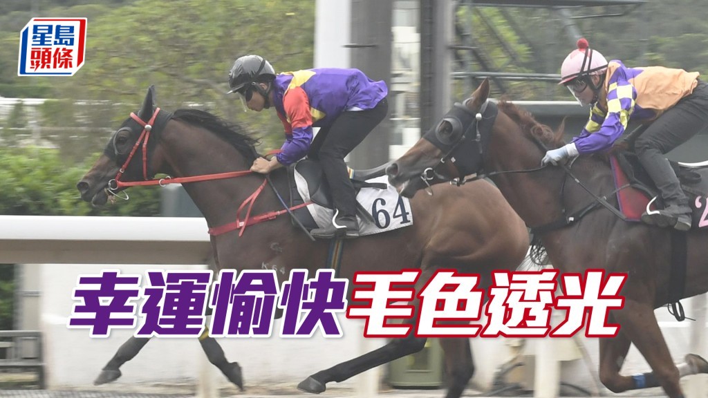「幸運愉快」步幅開得好闊又夠爽勁，馬身脹卜卜。