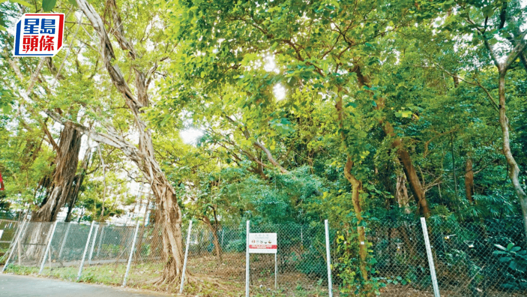 大圍「蚊型」住宅地估值逾5億 業界:發展規模不大 料吸引財團角逐