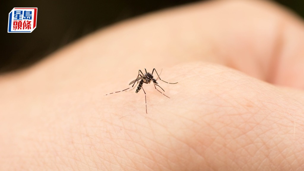 16歲青年上月遊泰國蘭達島  多番被蚊叮同時感染寨卡及登革熱。iStock示意圖