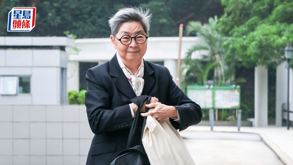 吳靄儀被裁專業失當投訴不成立，大律師公會申覆核獲高院批許可，11月聆訊。資料圖片