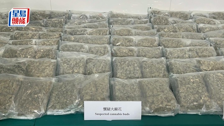 檢獲的大麻花。楊偉亨攝