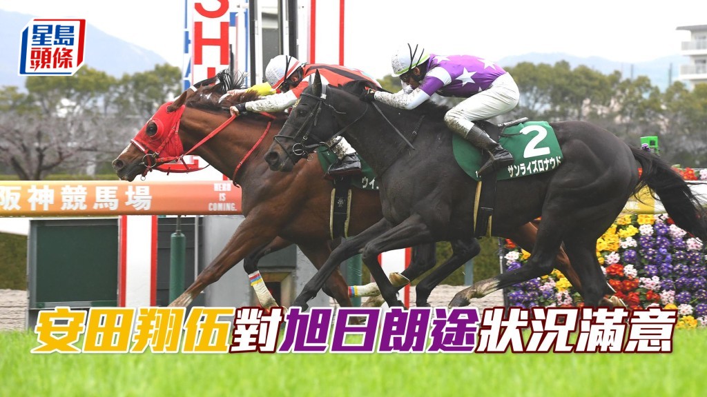 「旭日朗途」(外) 已在日本取得四捷。