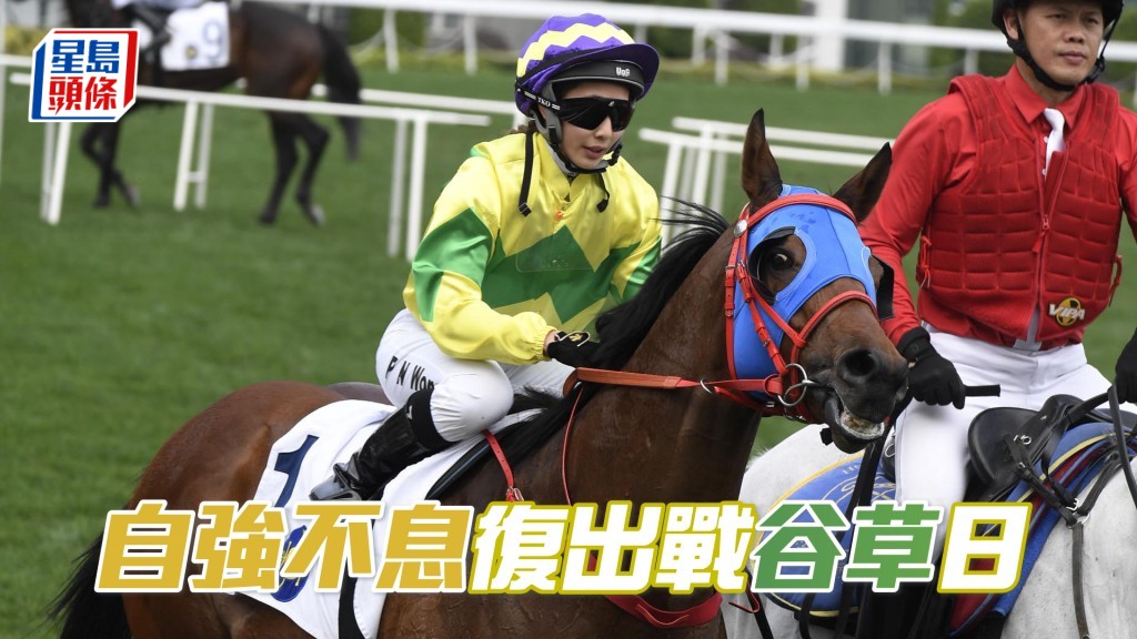  「自強不息」將出爭本周日谷草日馬賽第二班千二米。