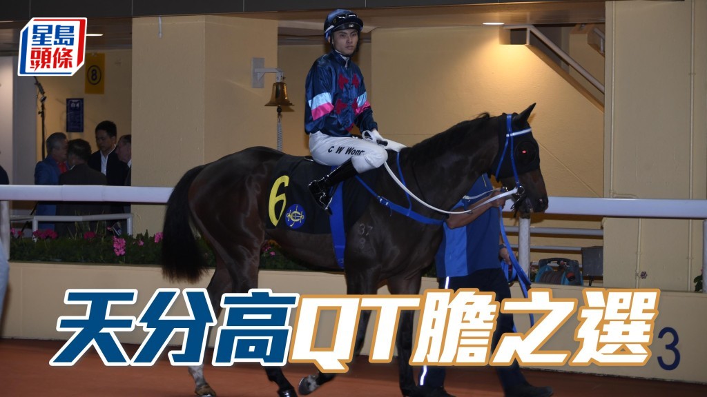 今次「天分高」終排得有利檔位，預期牠將可守貼欄包廂最有利位置，W要看對手發揮，但QT膽應穩。