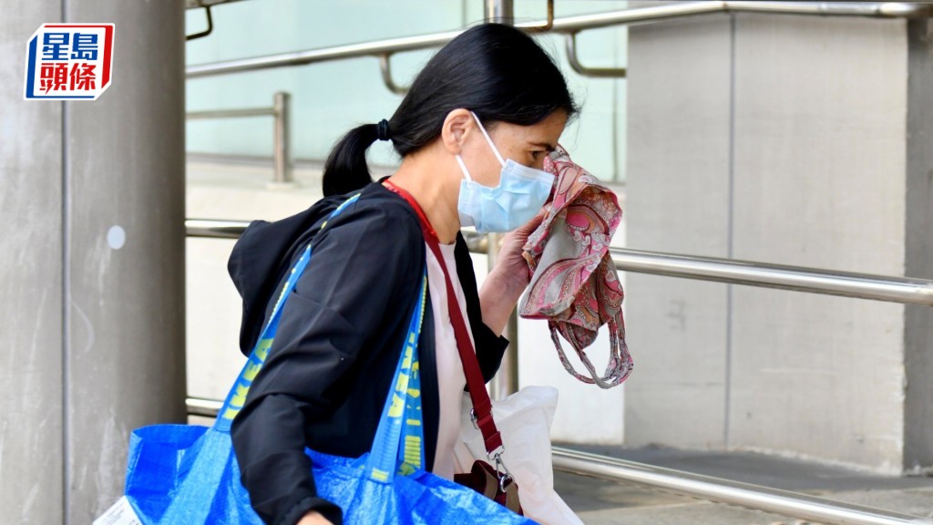 被告丁淑芬兩項控罪罪成。資料圖片