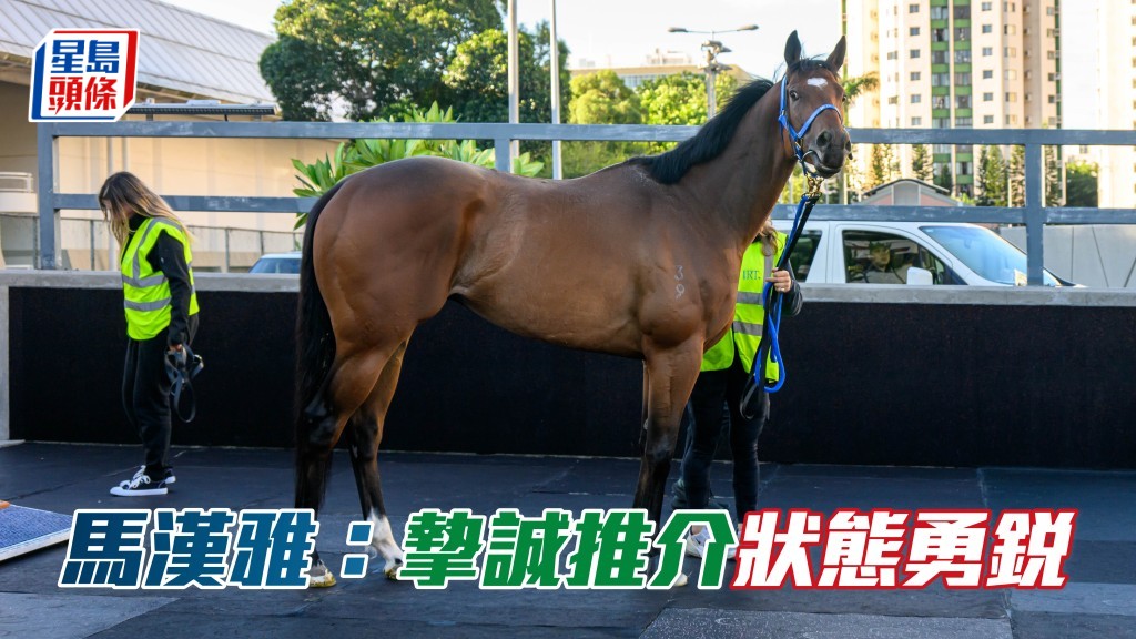 马汉雅首度派马来港，冀状态勇锐的「挚诚推介」在浪琴香港短途锦标交出佳作。