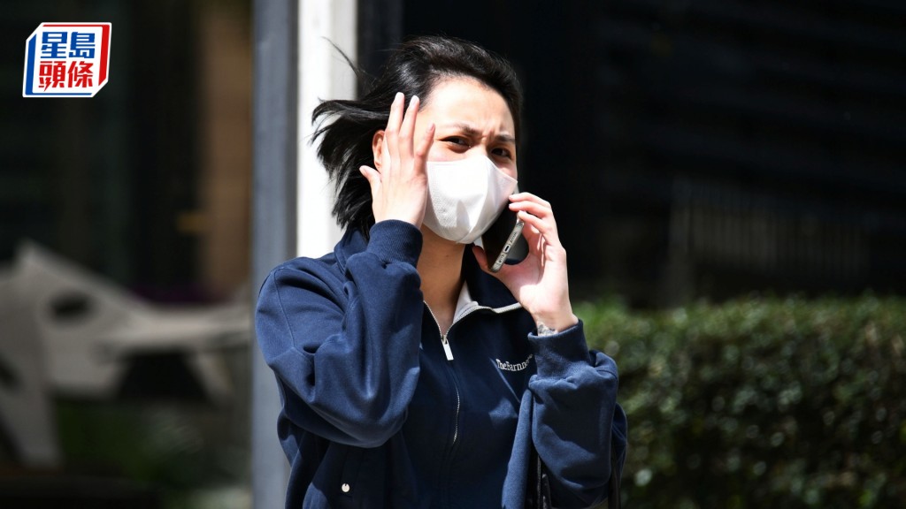 被告林淑芳。資料圖片