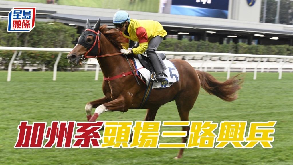 頭場「加州」系大晒冷，東廄的「加州活力」及「加州星馳」及巫廄「加州星皓」(圖) 均會上陣。