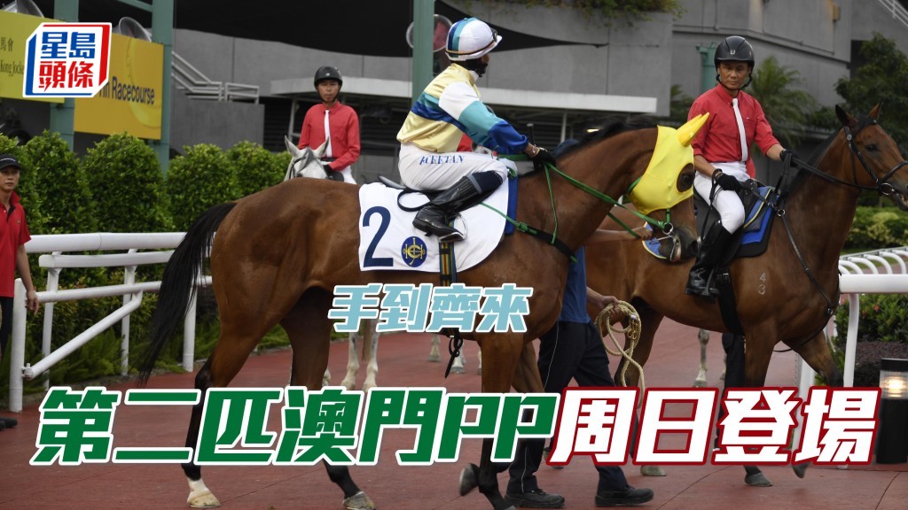 前澳門賽駒「壯志凌雲」易名「手到齊來」後，在港初次登場。