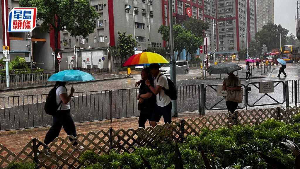 黃雨下，巿民都打傘前行。李健威攝